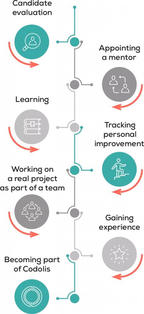 codolis careers internship diagram mobile