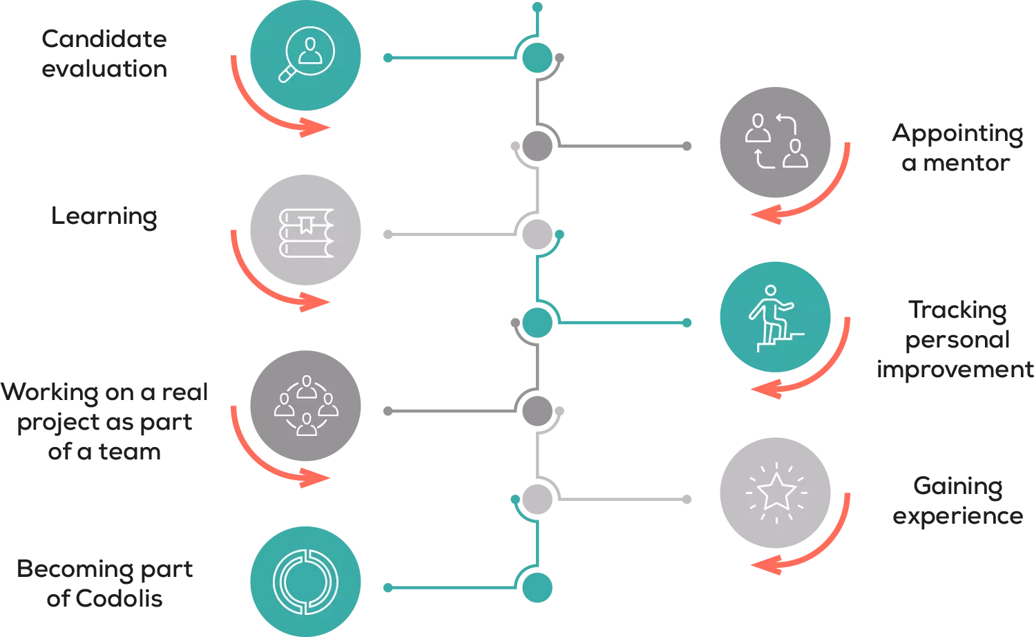 codolis careers internship diagram